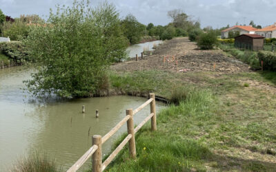 L’aménagement des berges dans la commune